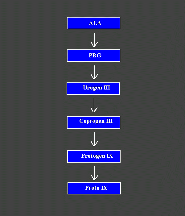 ALAPROT2.gif - 17.7 K