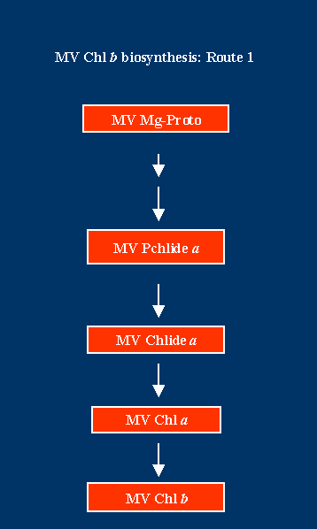 Chlb2Route1.GIF - 4.15 K