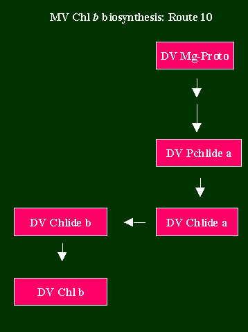 Chlb2Route10.GIF - 3.89 K
