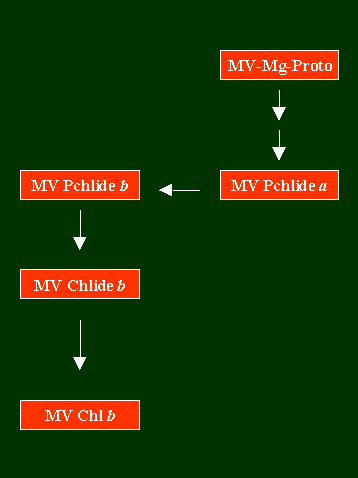 Chlb2Route3.GIF - 3.31 K