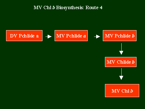 Chlb2Route4.GIF - 3.74 K