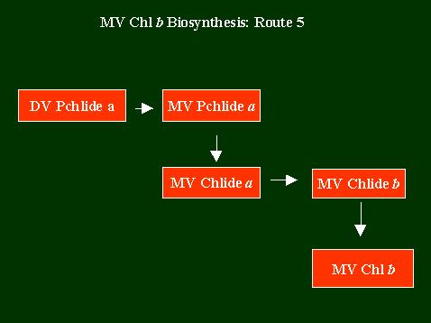 Chlb2Route5.GIF - 3.72 K