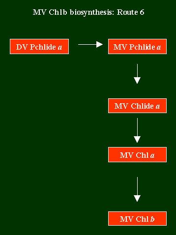 Chlb2Route6.GIF - 3.70 K