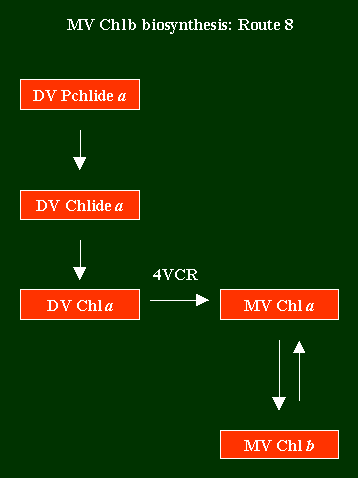Chlb2Route8.GIF - 3.63 K