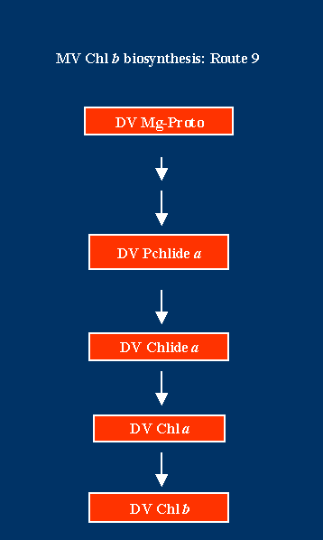 Chlb2Route9.GIF - 4.07 K