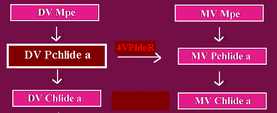 DVPIDEA2.gif - 16.3 K