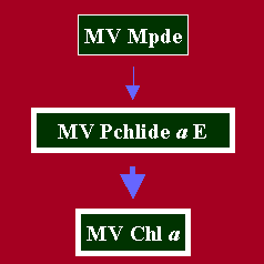 EstrfdMV2.GIF - 2.6 K
