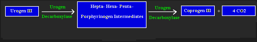 RCOPROG2.gif - 4.7 K