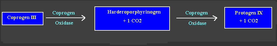 RPROTOG2.gif - 4.4 K