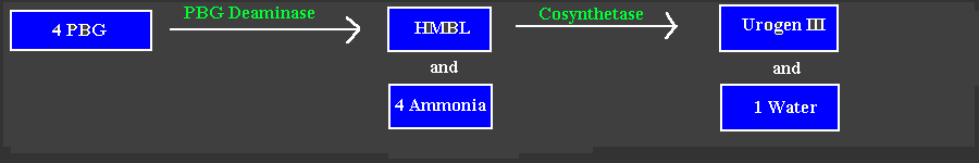 RUROGEN2.gif - 4.2 K