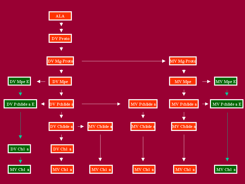 CRBXLCPWE2.GIF - 12.8 K