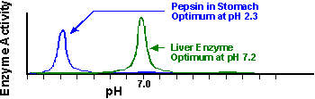 enzyme/pH