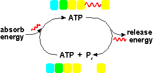 energy cycle
