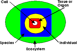 cells to ecosystems