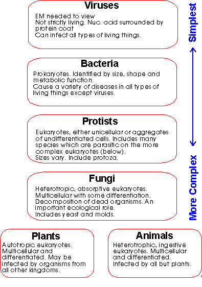 animal worksheet interactions LON CAPA cause that Organisms disease.