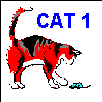 CAT 1