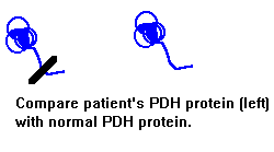Compare proteins
