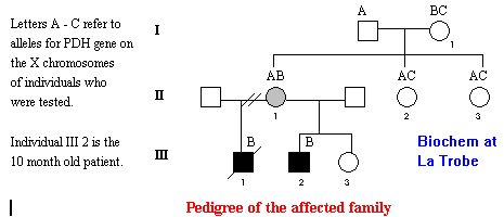 Pedigree diagram