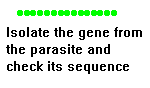 get gene