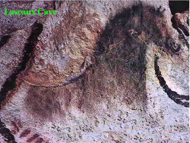 Horse from Lascaux