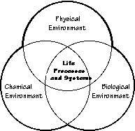 Life Processes Diagram