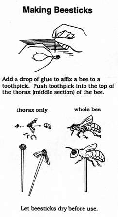 How to make a bee-stick