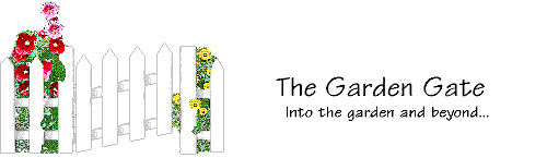 The Garden Gate: Into the garden and beyond...
