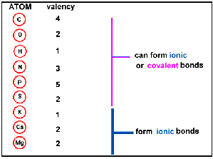 bonds covalent valency most compounds atom make electrons involve stable shared many msu