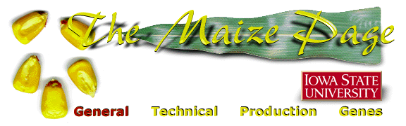 Banner for the Maize Page General Information Section