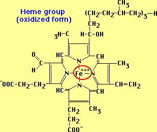 heme oxidized form