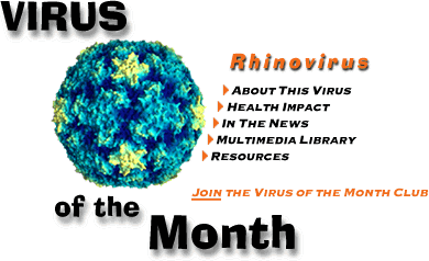 Imagemap for the Virus of the Month