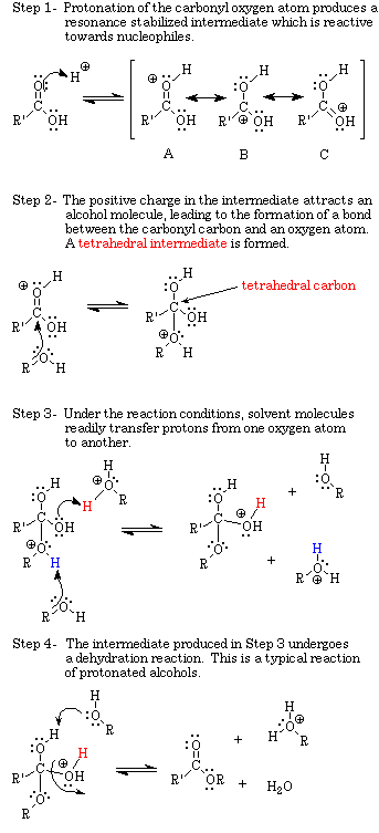 Synthesis of methyl salicylate