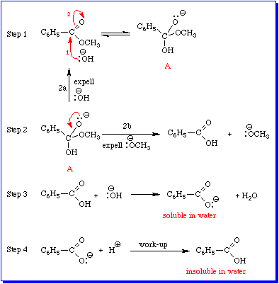 fischer esterification mechanism