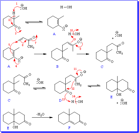 Steroid carbon rings