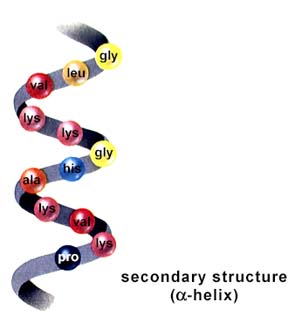 view higher order thinking