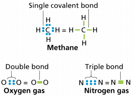 covalent bond types bonds science chemistry atoms molecules used ways representing biology nitrogen figure gas gif sinauer total freeman permission