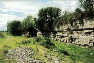 Old quarry near Forfar